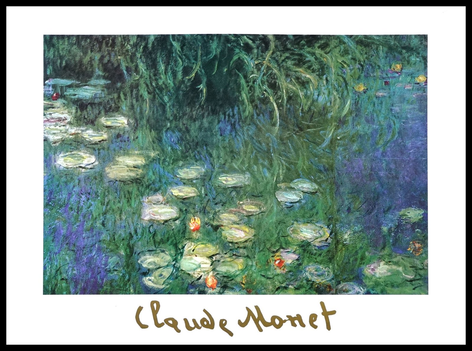 EGIM MONET-216